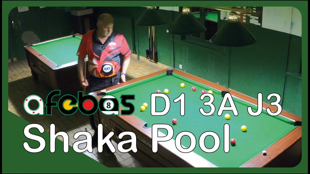 Mes parties de billard du match Afebas : Shaka Pool - Les Phénomènes (D1 / Poule 3A /J3)