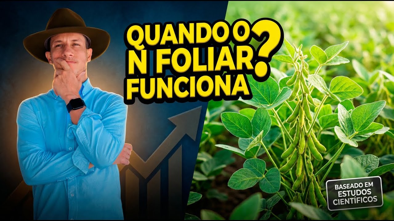 Quando a Adubação Foliar de Nitrogênio Aumenta a Produtividade da Soja