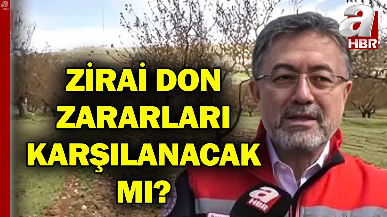 Üreticilerin Zararı Karşılanacak Mı? Tarım Bakanı İbrahim Yumaklı A Haber'de Açıkladı | A Haber