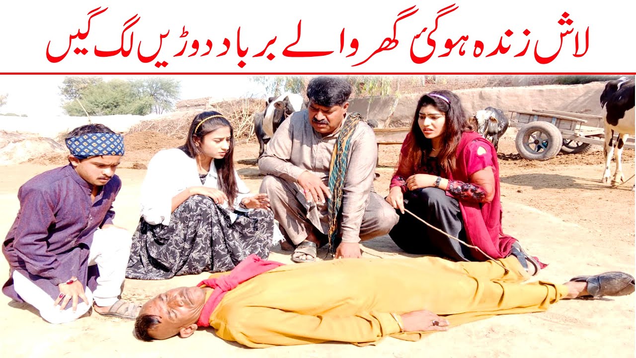 Wada Number Daar Noori Laash Zinda Ho Gai Kirlo Bhola Khushia Kirli New Funny Comedy Video | You Tv