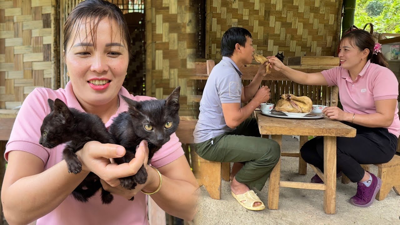 Harvesting vegetables in the rain is hard work - Xuan bought a cat to raise