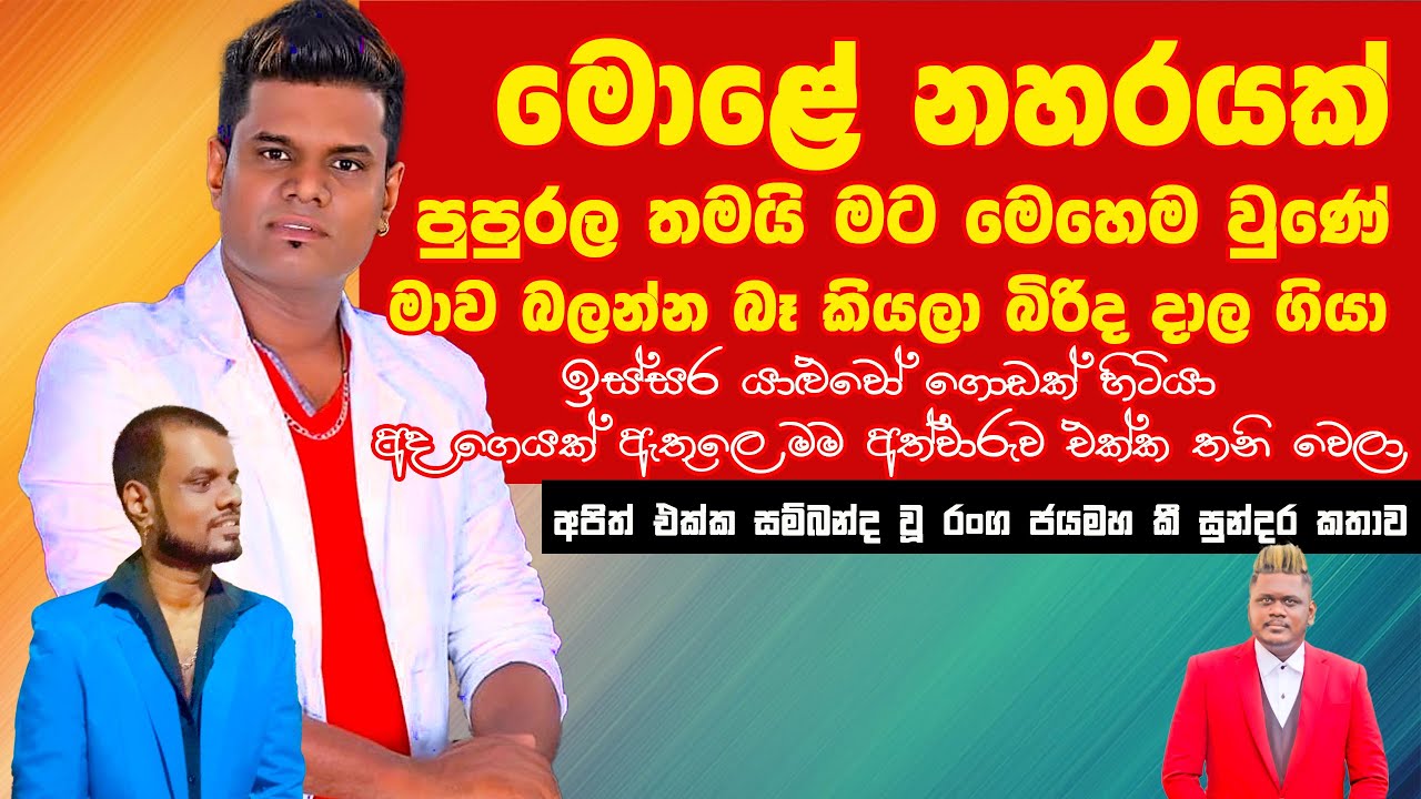 Interview With Artist Ranga Jayamaha | මොළේ නහරයක් පුපුරල තමයි මට මෙහෙම වුණේ