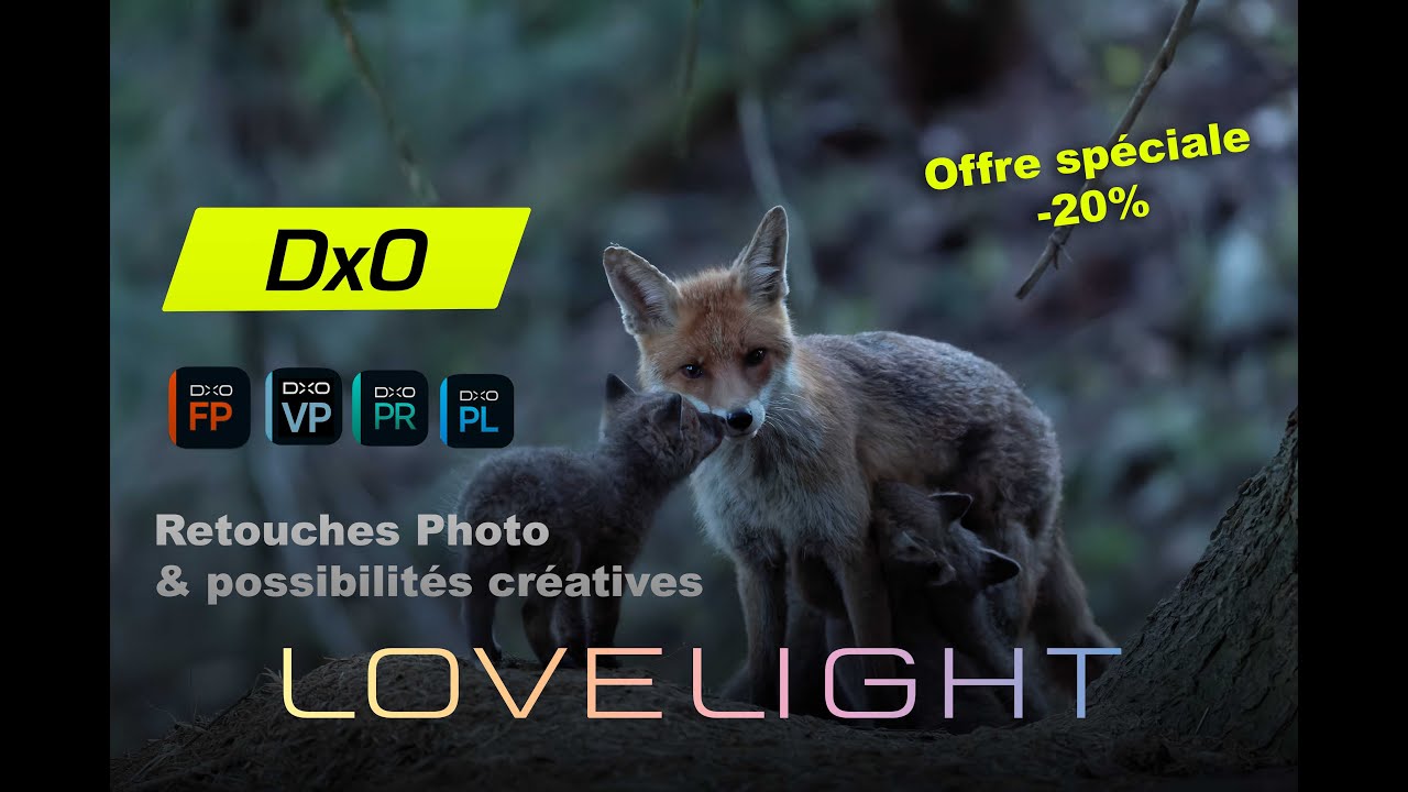 Retouche d’image avec la suite DxO ! PureRaw, FilmPack, Nik Collection, ViewPoint et PhotoLab