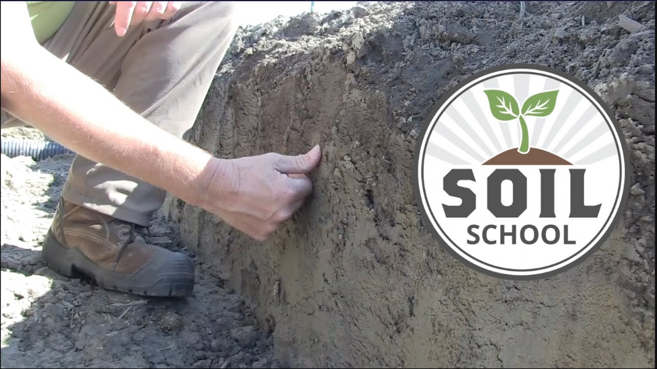 Soil School: How clay content impacts K availability