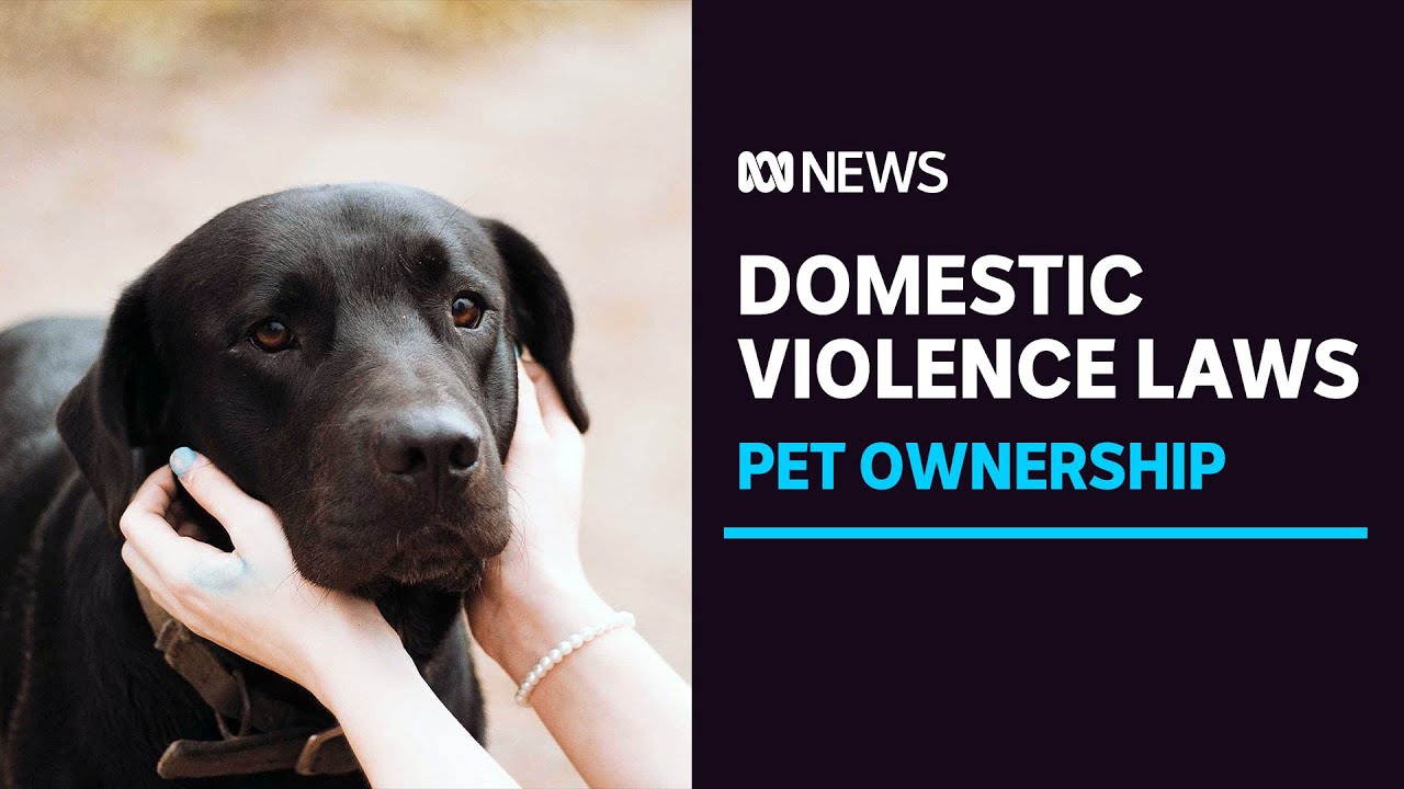 Calls for family violence law reform to help victims and their pets | ABC News