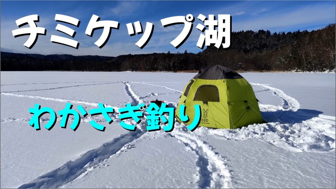 チミケップ湖 わかさぎ釣り　鱒は好調　ワカサギは釣りはウグイの猛攻が凄い！