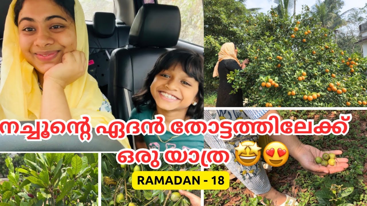 നച്ചുമ്മാടെ ഏദൻ തോട്ടം🌿🍊Ramadan Day 18🌷Ramadan Routine #dayinmylife  #vlog #ramadanday18