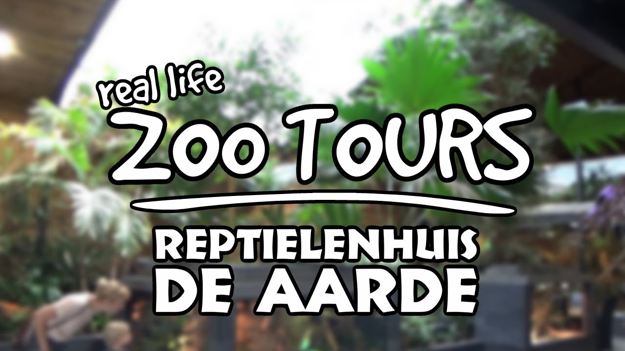 Reptielenhuis de Aarde, a Beatiful Modern Reptile House! | Real Life Zoo Tours (ft. @LeafProductions)