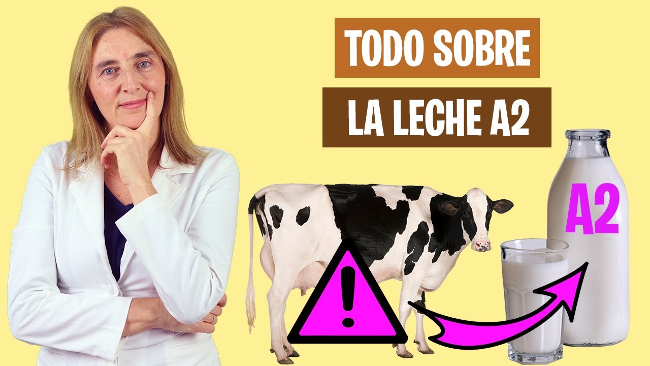 DEBES CONOCER ESTO de la LECHE A2 | Diferencias entre leche A1 y A2 | Alimentación real saludable