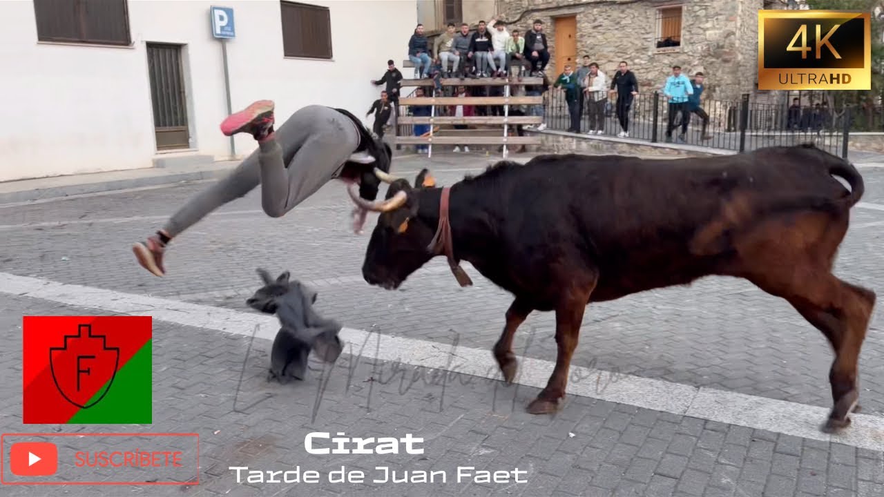 Cirat‼️ // Tarde de Juan Faet🐂 // 4K Video // 21-02-2026