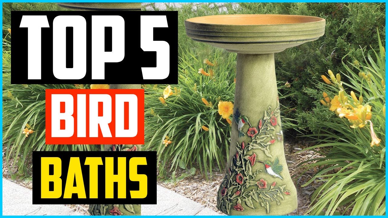 ✅Top 5 Best Bird Baths in 2024 Reviews