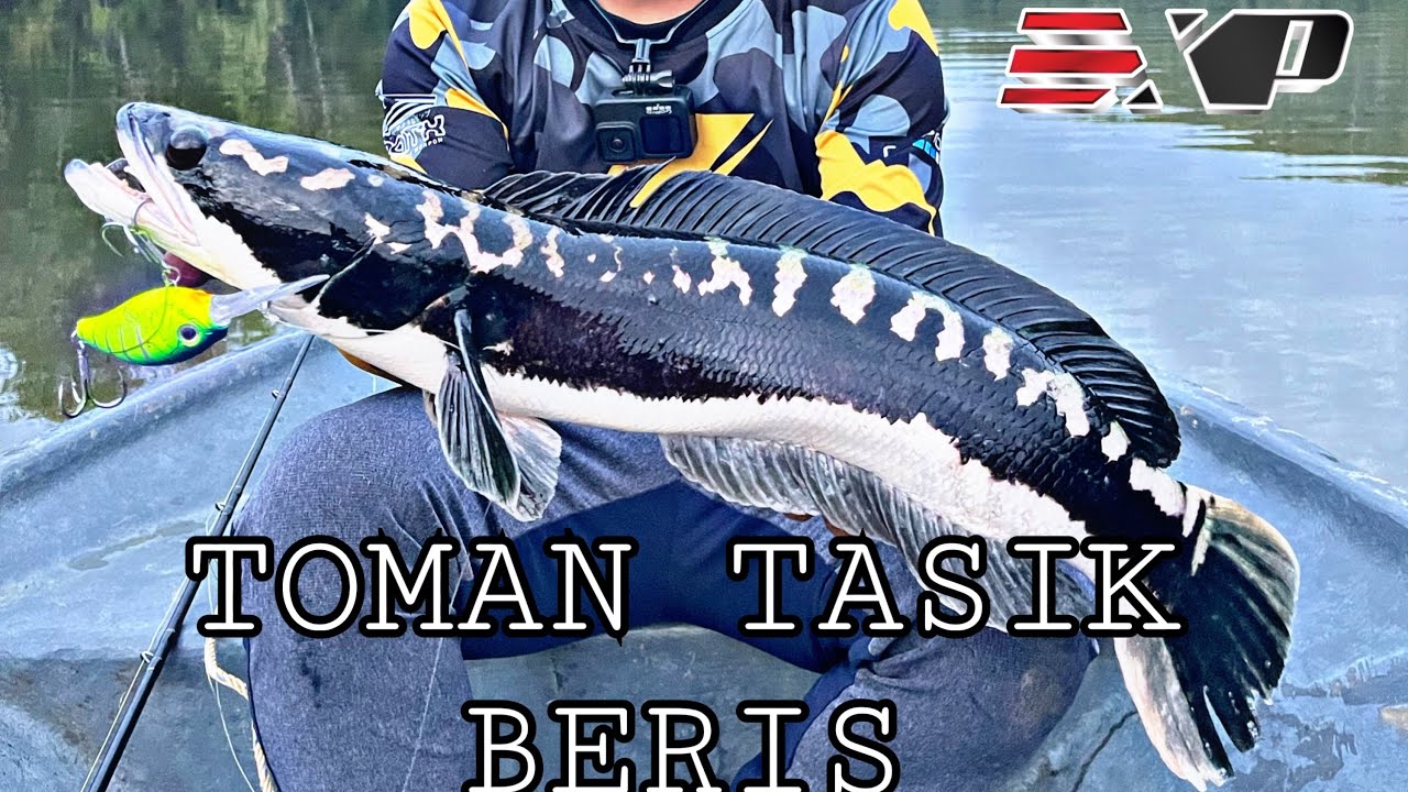 SELAMAT TINGGAL EXP SPARTAN X | TOMAN TASIK BERIS KEDAH
