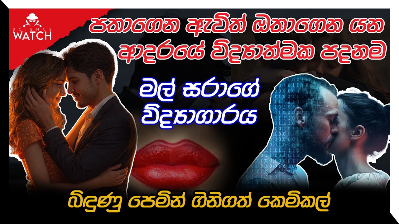 පතාගෙන ඇවිත් ඔතාගෙන යන ආදරයේ විද්‍යාත්මක පදනම |  බිඳුණු පෙමින් ගිනිගත් කෙමිකල් | Science Watch