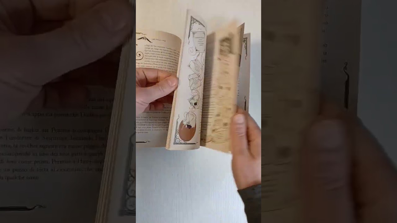 Harry Potter e la Pietra filosofale ed papercut | Salani Editore