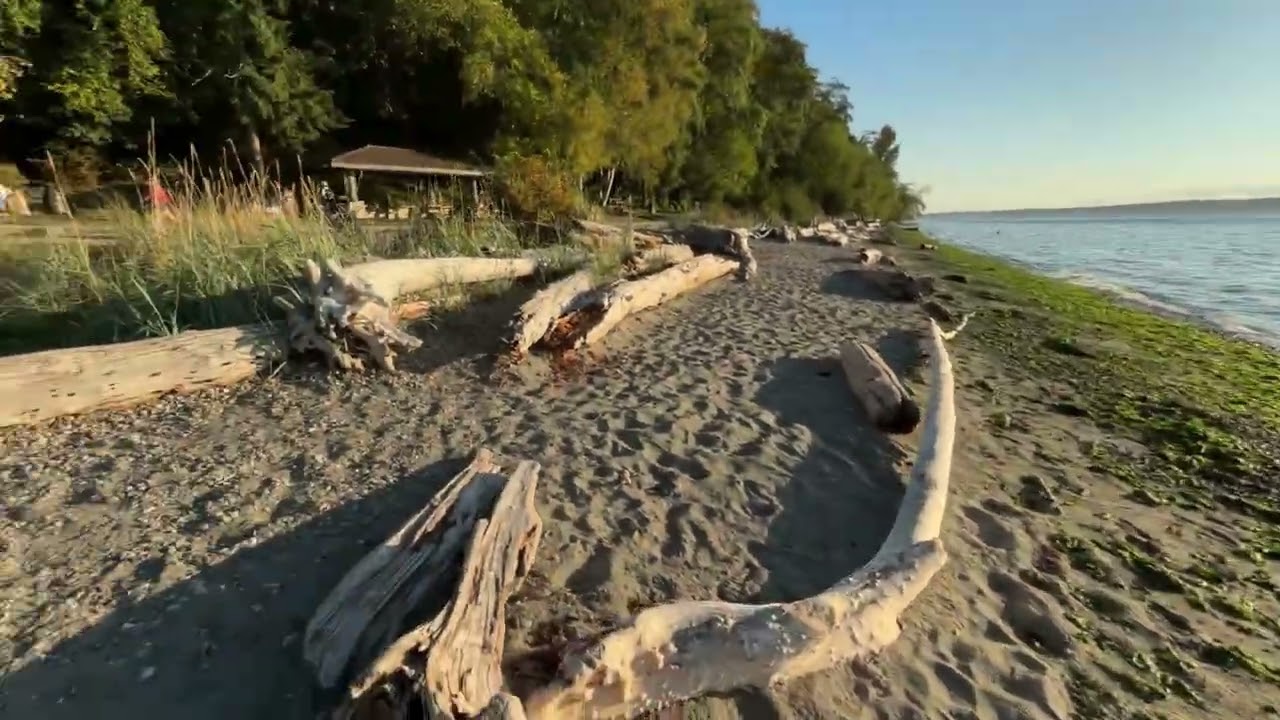 Walking back in September at Seahurst Park in Burien WA and rambling at chat while streaming