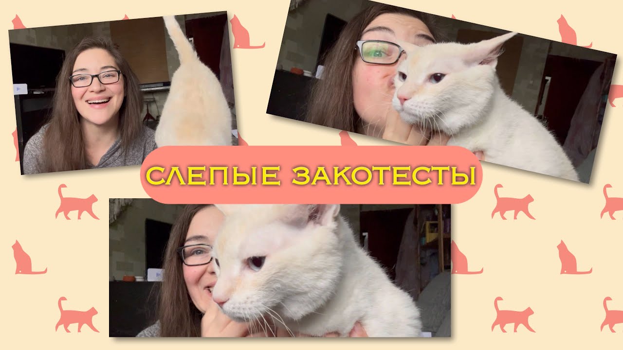 слепые затесты: цветы, коты