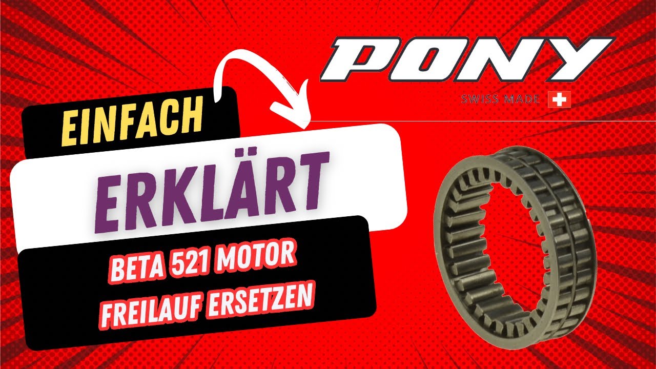 Freilauflager reparieren / ersetzten Beta 521 Motor l Einfach erklärt