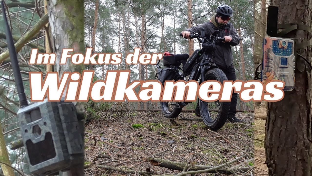 Museumseisenbahn Tanklager und Wildkameras mit dem Fatbike ab durch den Wald NLME #Lostplace