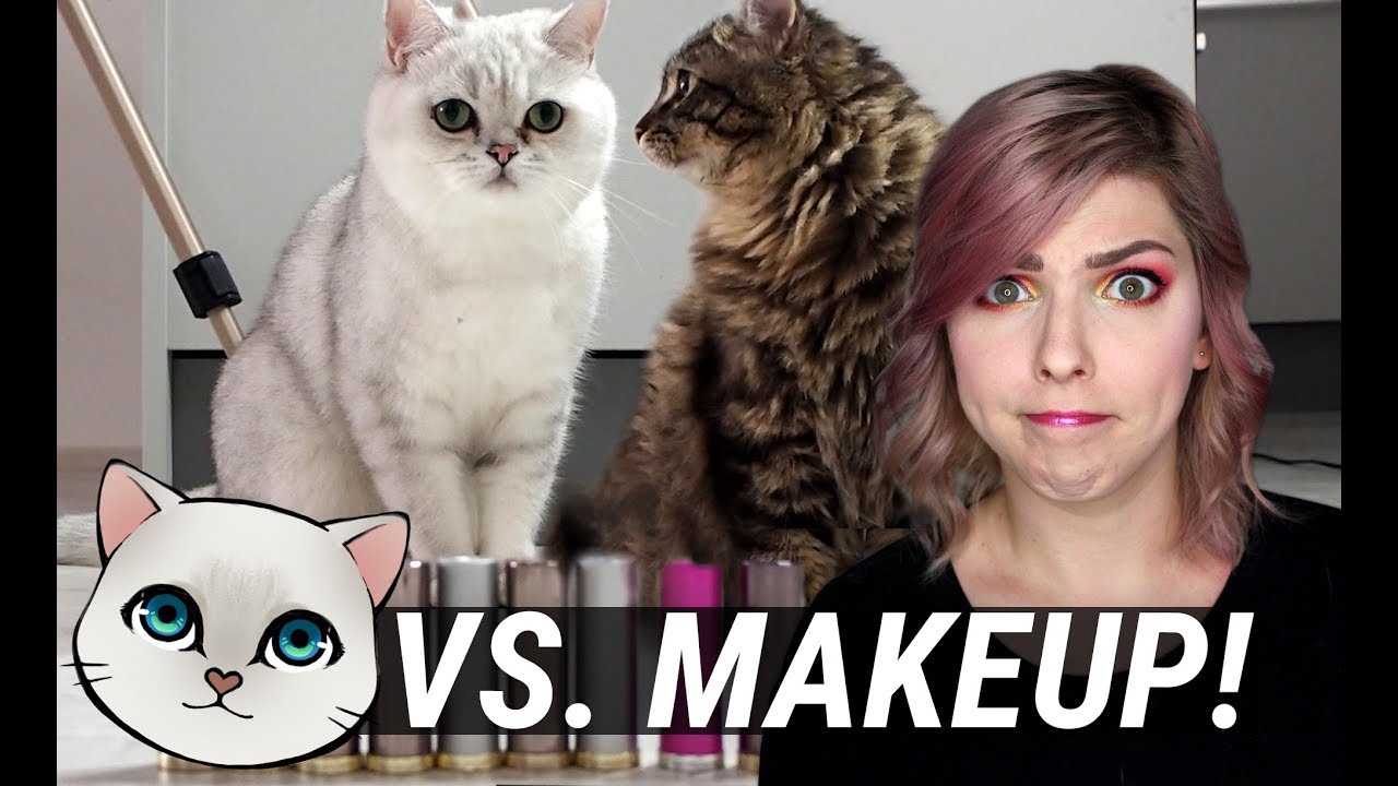 Kočky Vyb&iacute;raj&iacute; Můj Makeup | Loutorial