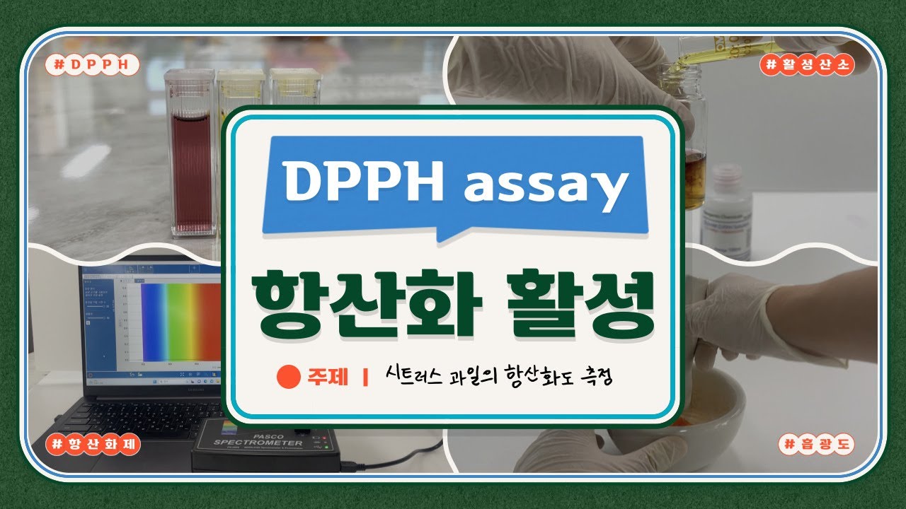 [하.또.실] DPPH 항산화 실험(DPPH를 이용한 항산화 활성 측정, 시트러스 계열 과일의 항산화 능력, 활성 산소(free radical)을 제거하는 항산화제)