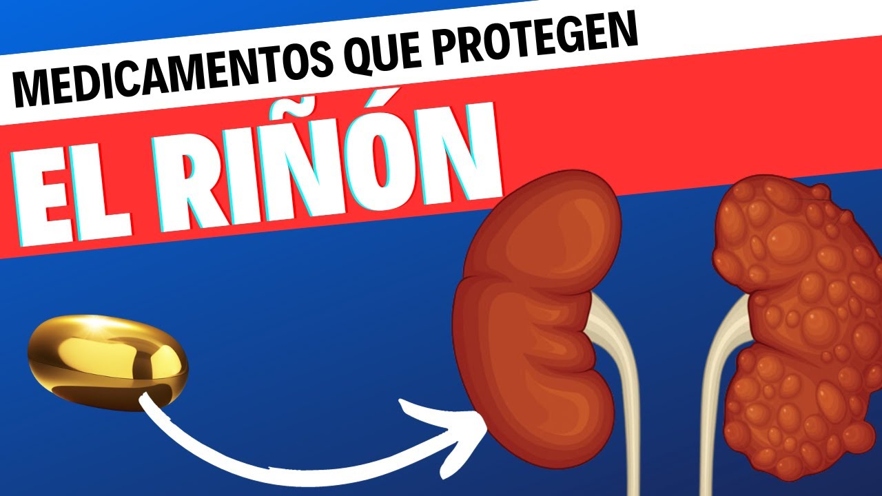 4 medicamentos que protegen al riñón de los pacientes con diabetes