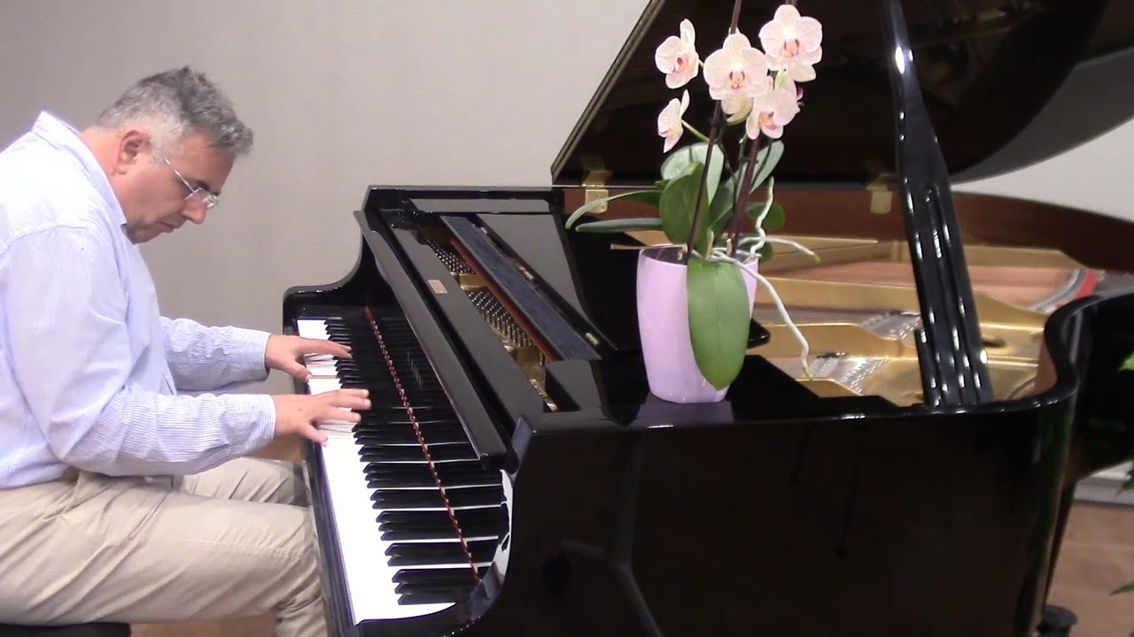 CLAR DE LLUNA de L  V  Beethoven