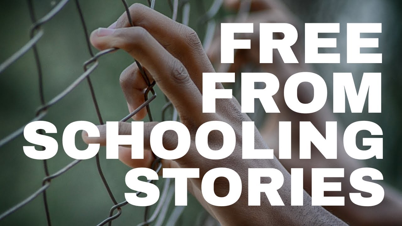 Real Stories of Self Education Success I Homeschooling Beyond the Box