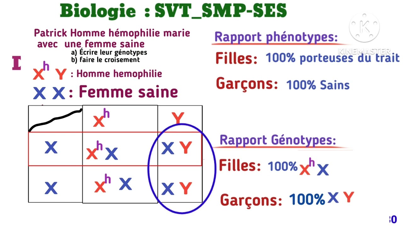 Texte modèle Biologie 2024 et Explication: Hémophilie  100% motivation: SVT_SMP-SES
