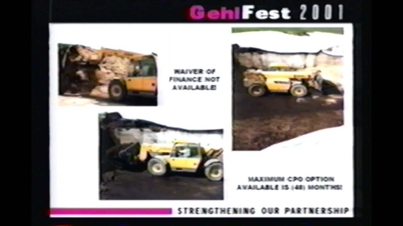 GehlFest 2001: Финансы и внезапное прекращение производства видео.