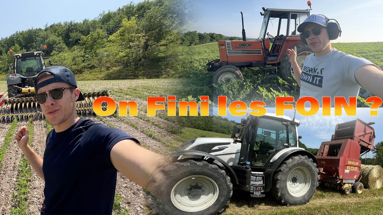 Foin? Binage? Moisson?