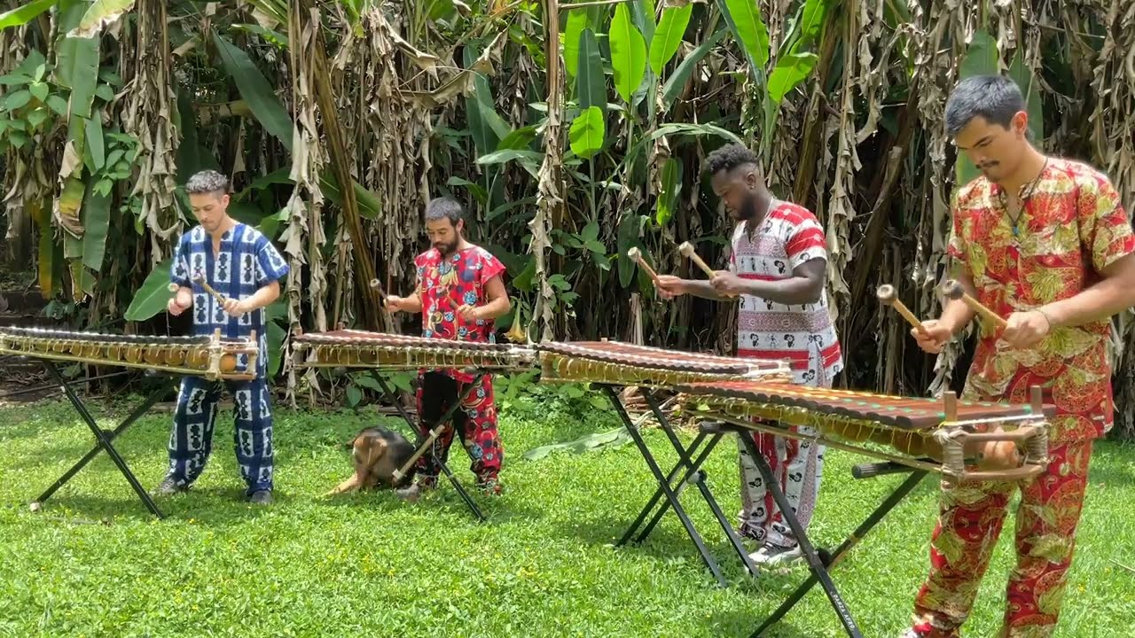 Ensamble de Balafon Alkhaly Camara - ''KONKOBA''