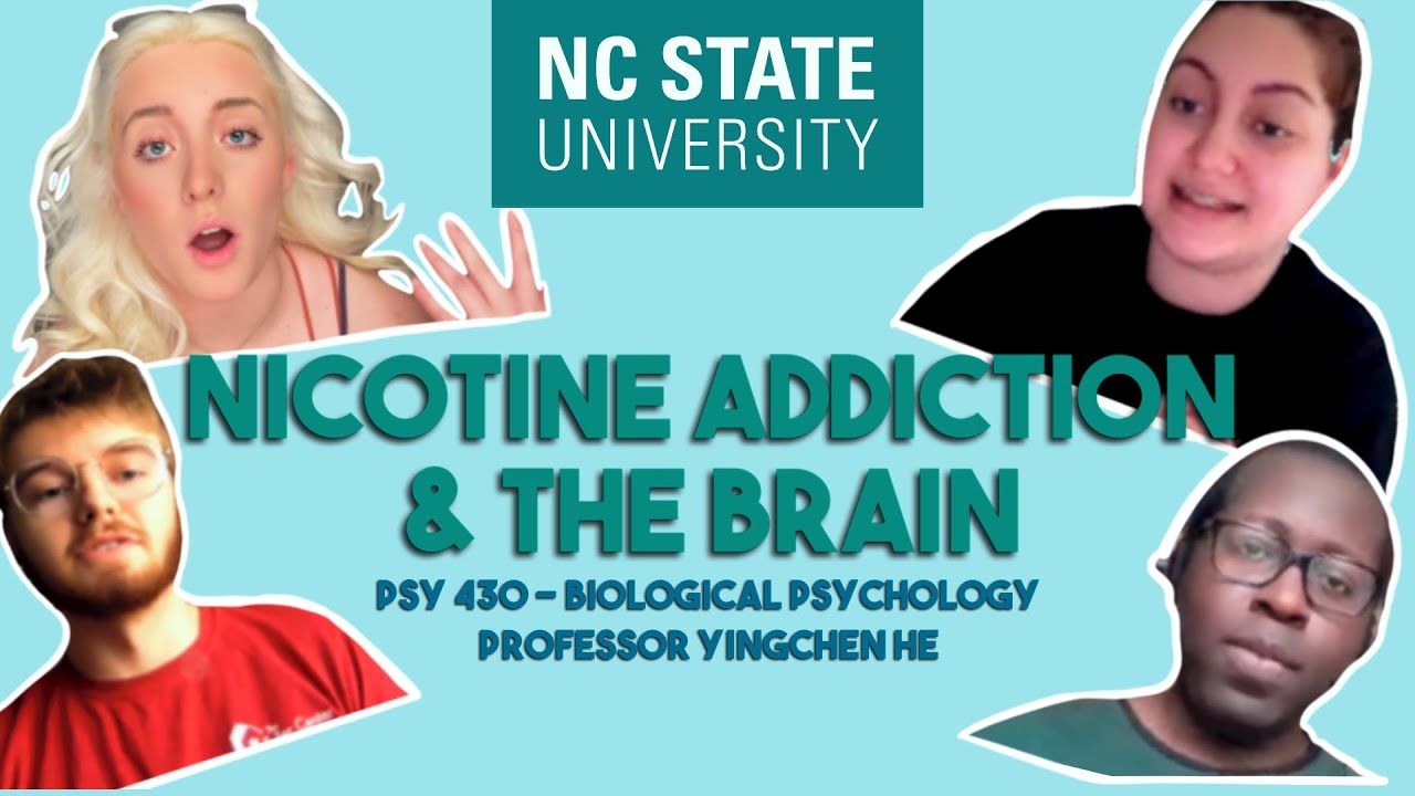 NICOTINE ADDICTION - Effect on Structure & Function of the Brain