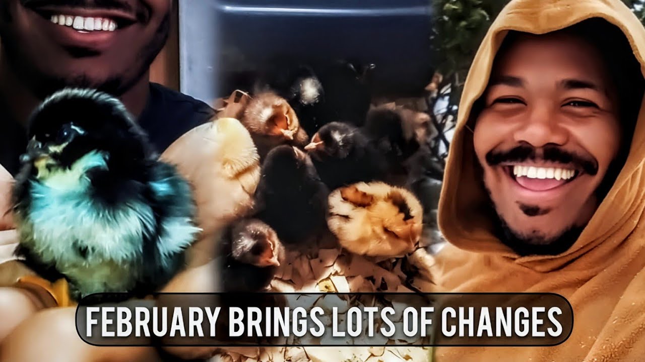 February Brings Lots of Changes For Homestead Dan | UPDATE