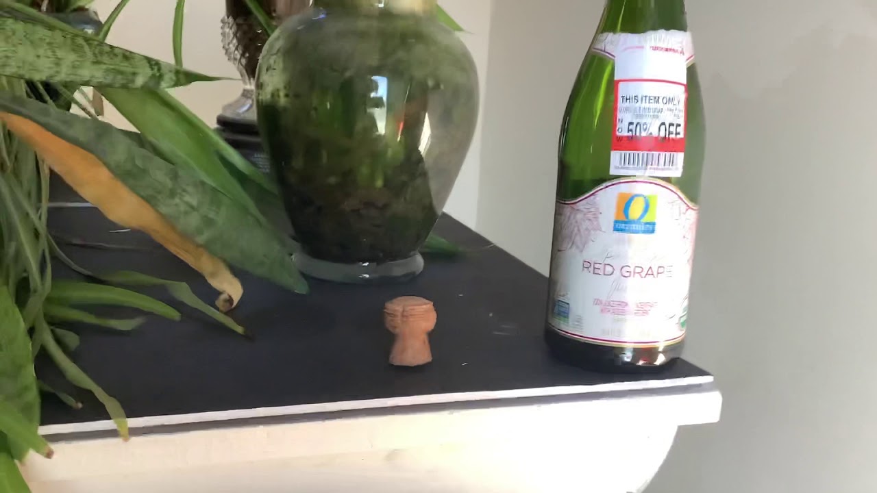 I Couldn't Put the Cork Back in the Bottle!