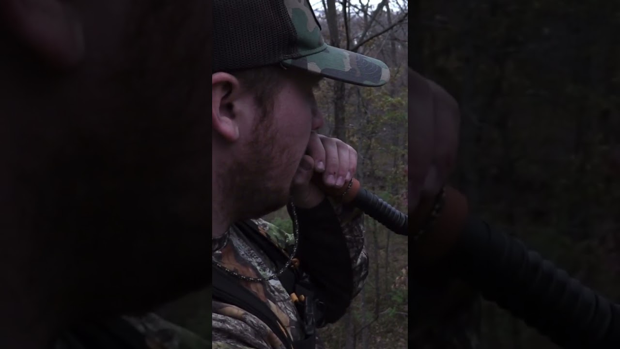 MONSTER BUCK Grunt Call #buckgruntcall #bigbucks #hunting #shorts #youtubeshorts