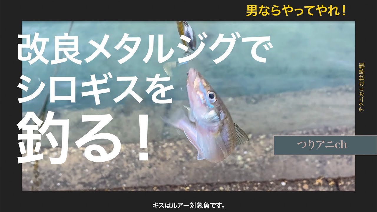 改良メタルジグでシロギスを釣る！キスはルアー対象魚です🤩