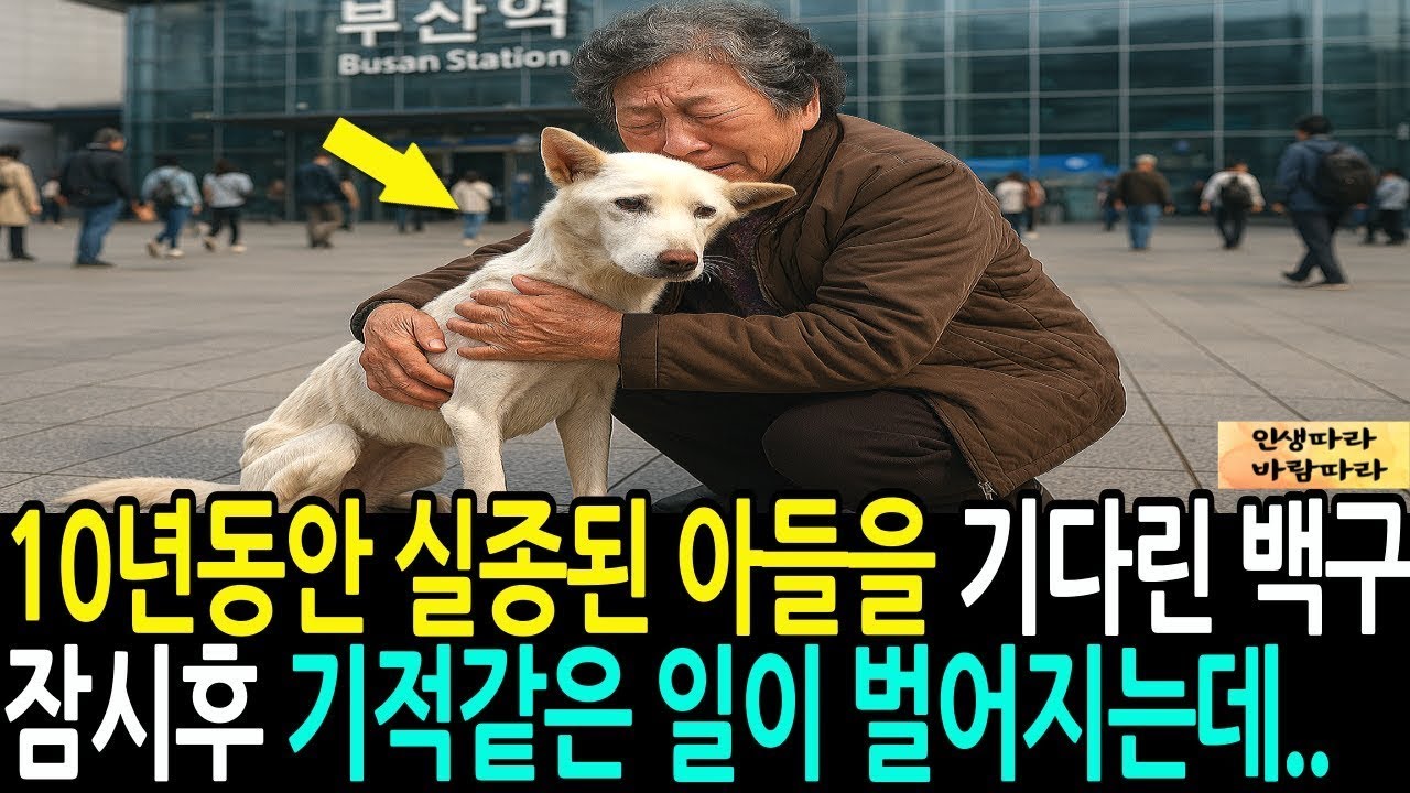 10년동안 실종된 아들을 기다려준 백구 잠시후 기적같은 일이 벌어지는데