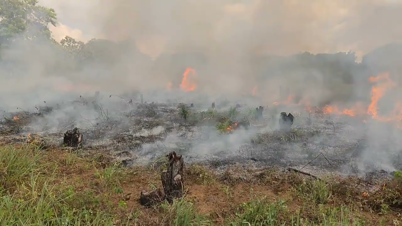 Agora vai ficar bom pra plantar capim. 17/03/2026