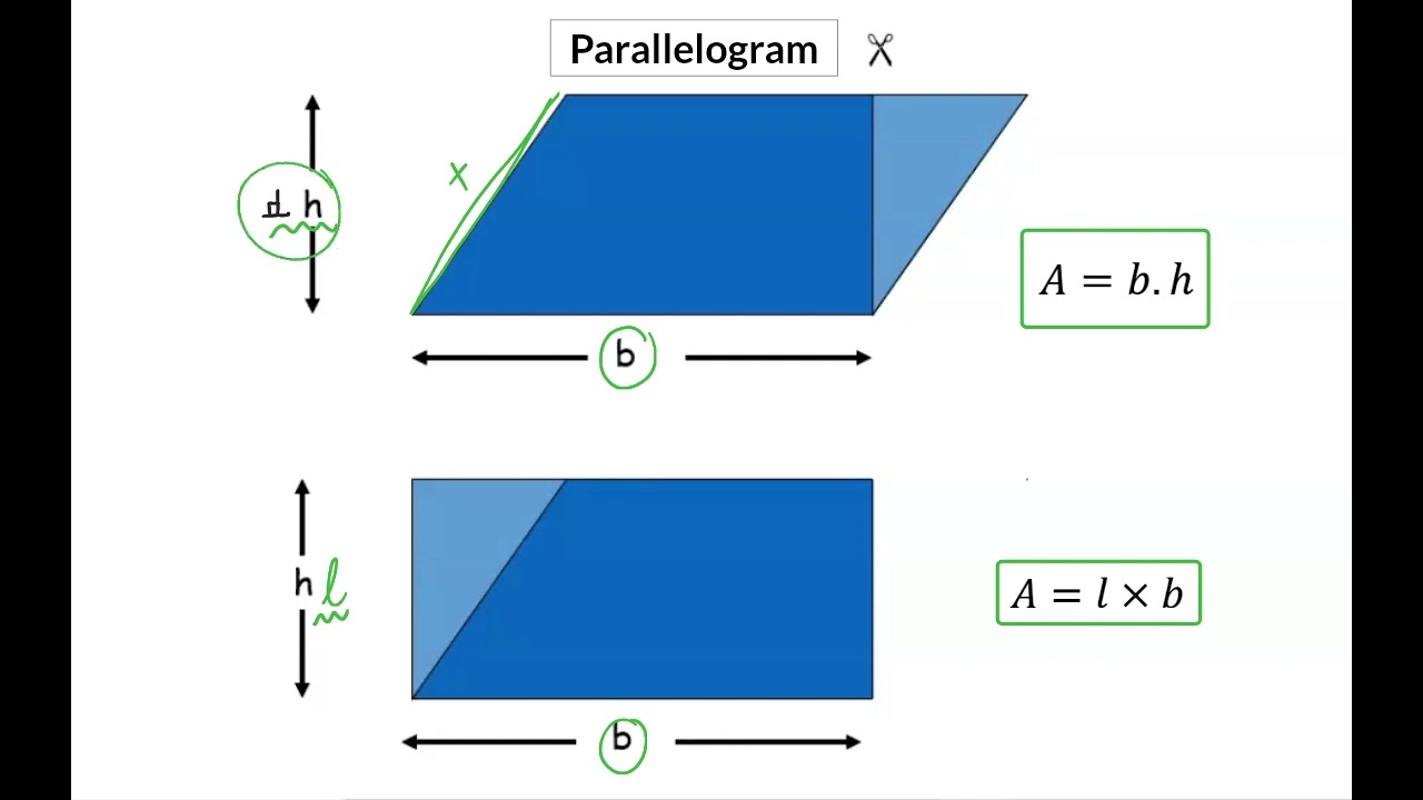 03 Omtrek en oppervlak  van 'n parallelogram