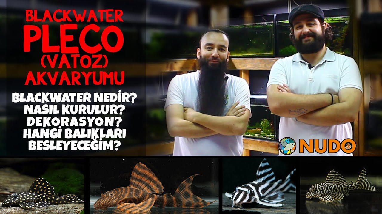 Blackwater Pleco (Vatoz) Akvaryumu Projesi | Ön Planlama | NUDO Akvaryum Sohbeti