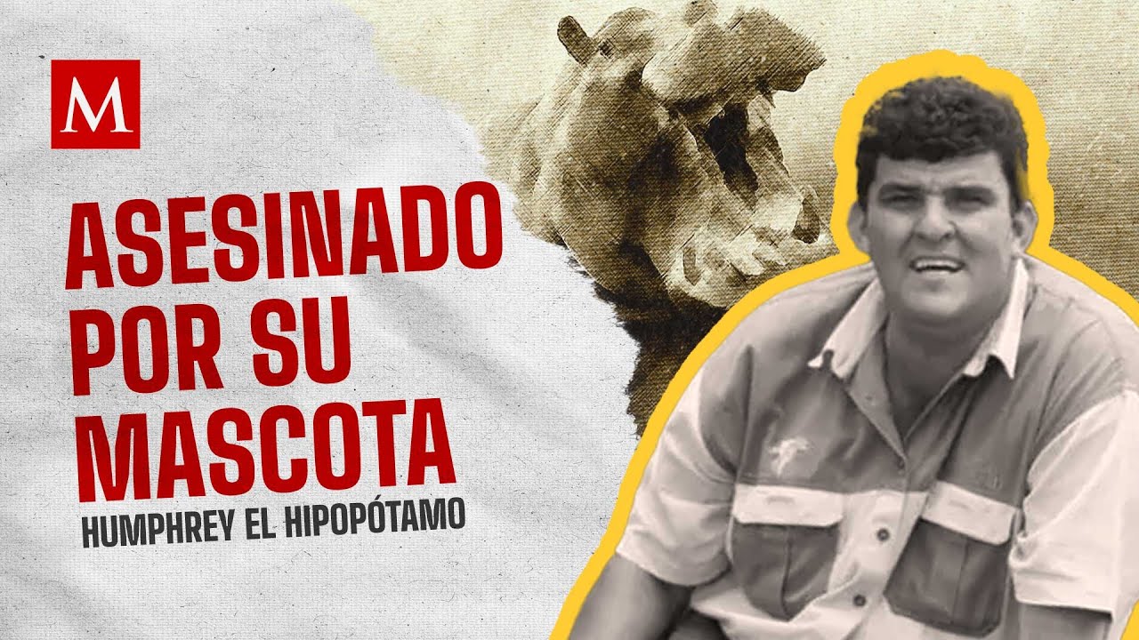 La trágica historia de Marius: El hombre que adoptó a un hipopótamo que terminaría con su vida