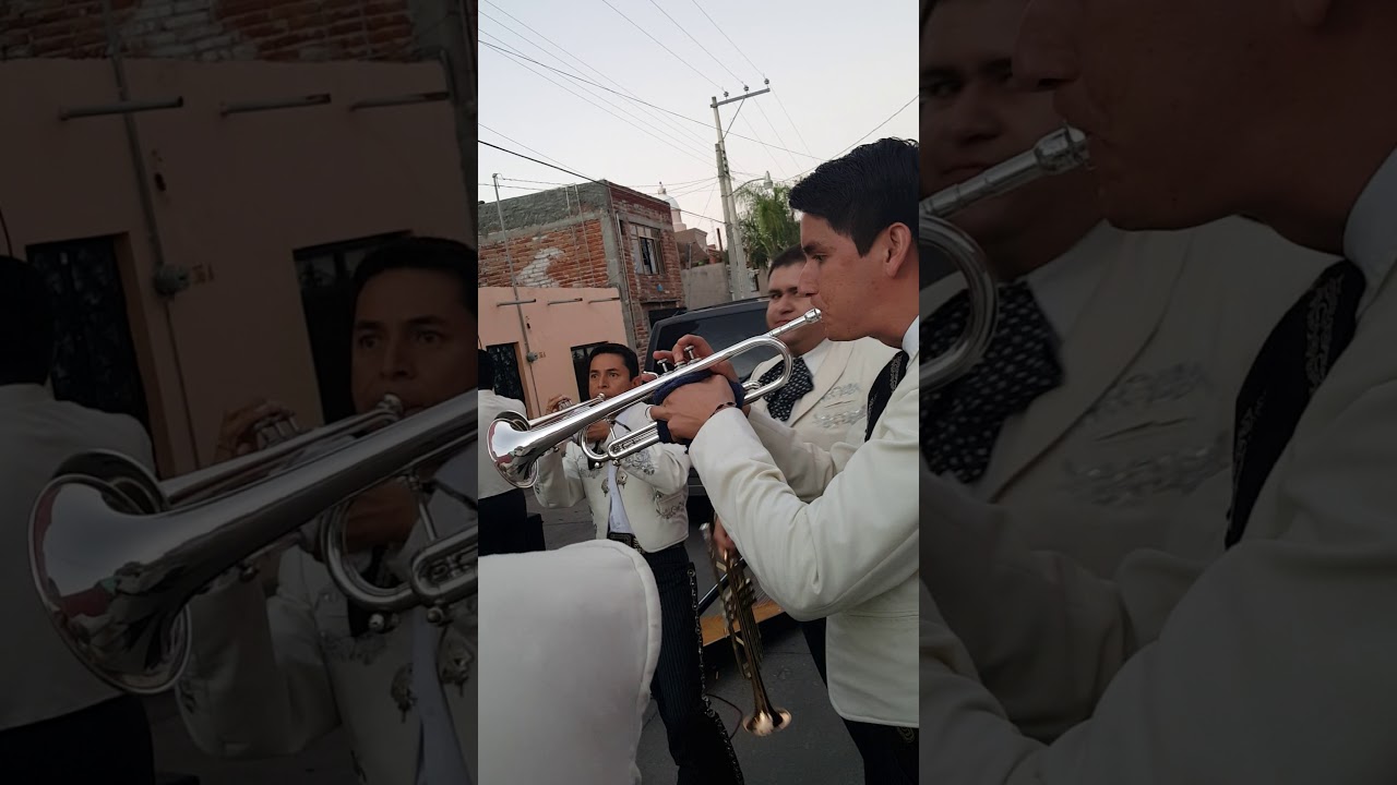 Mariachi Internacional Los Pérez,  