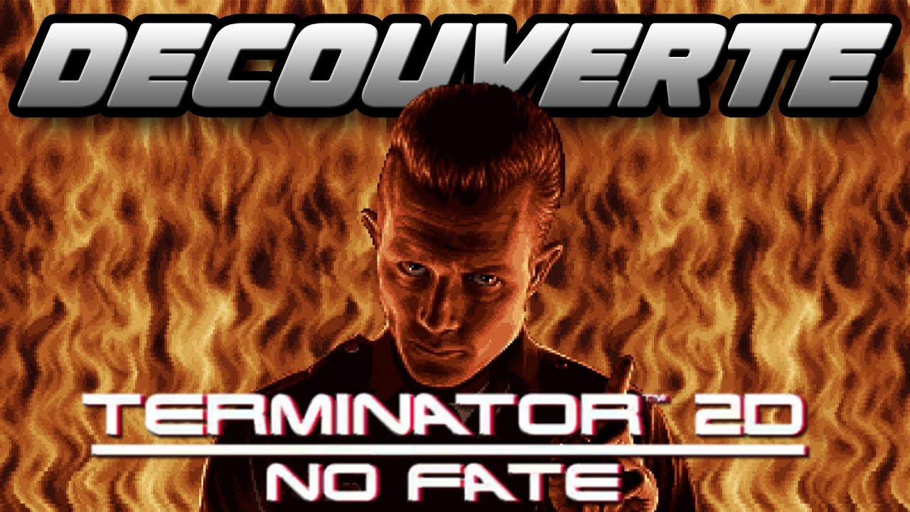 IL EST REVENU - TERMINATOR 2D NO FATE (PC)