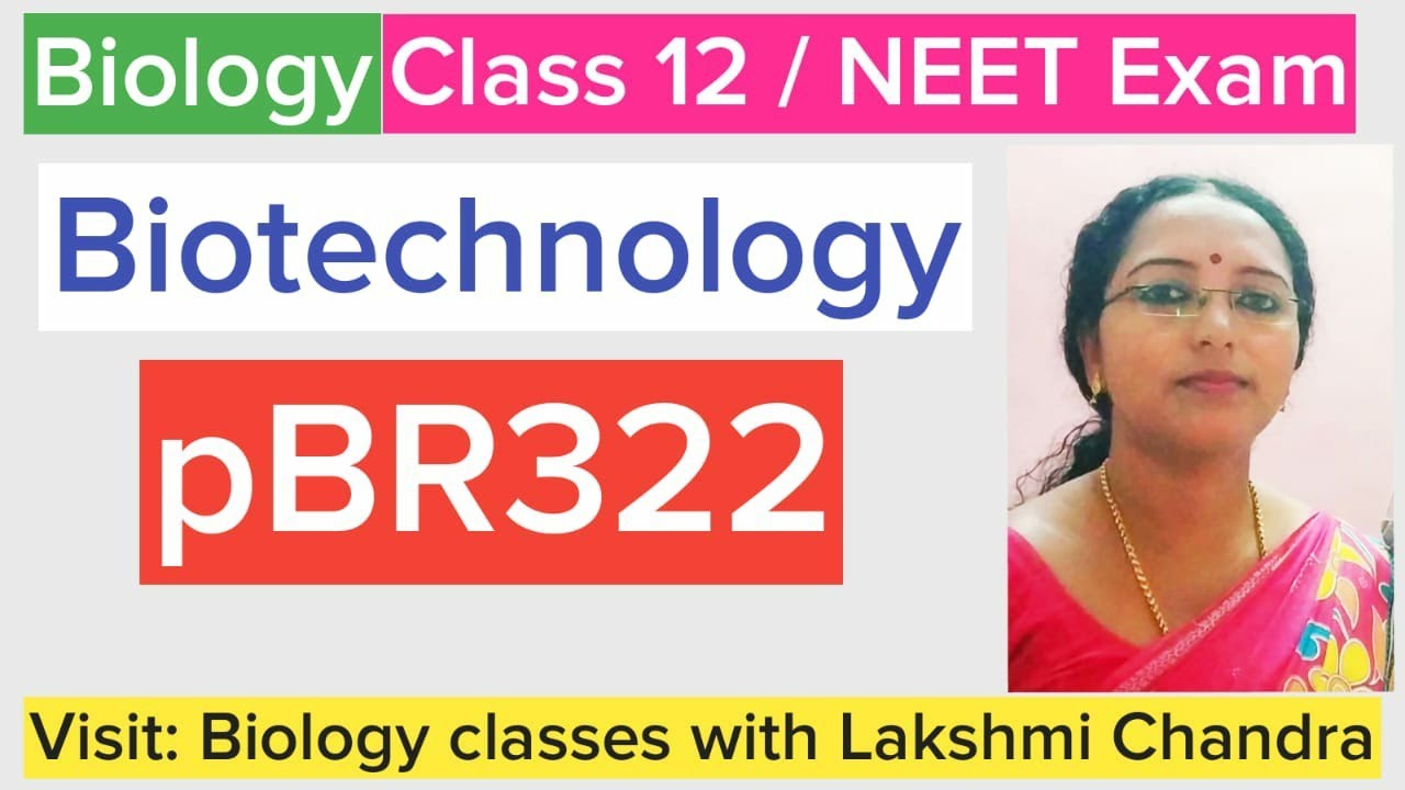 pBR322 | Cloning Vector | Class 12 Biology | NEET Biology
