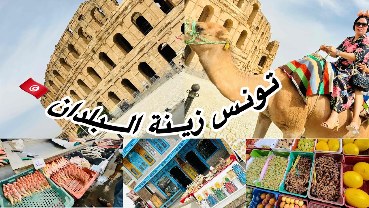شاركت معاكم بقية العطلة في تونس🇹🇳 هزيتكم معايا لاماكن خيالية 🏝️🐬🫶 كل بلاصة تناسيك في اخرى 🐟 