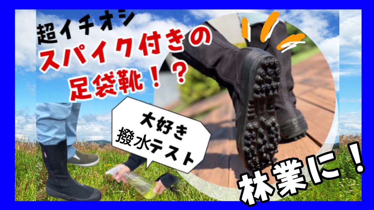 【林業】汚れを弾く撥水機能が山や斜面での作業にピッタリ！スパイク底の親方寅さんシリーズ登場【寅さん】