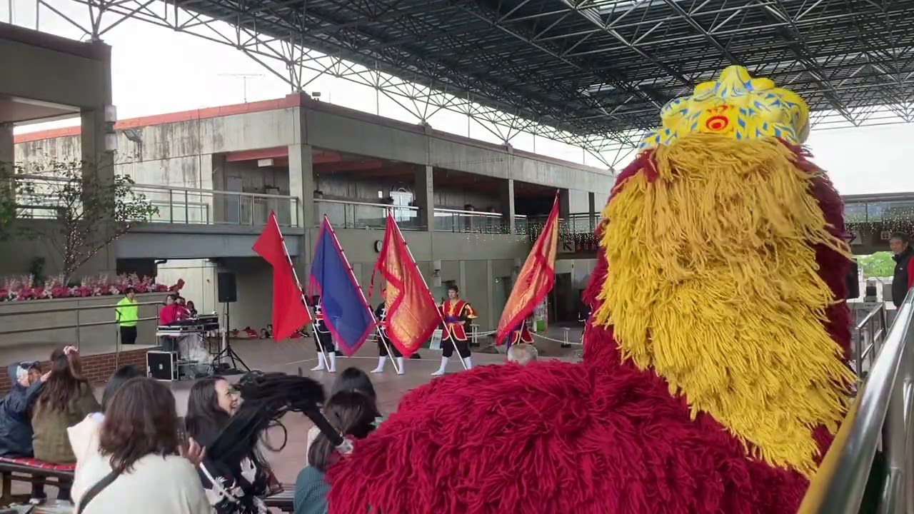 琉球國祭り太鼓　リトルワールドうりずん祭り20250506②途中で切れます
