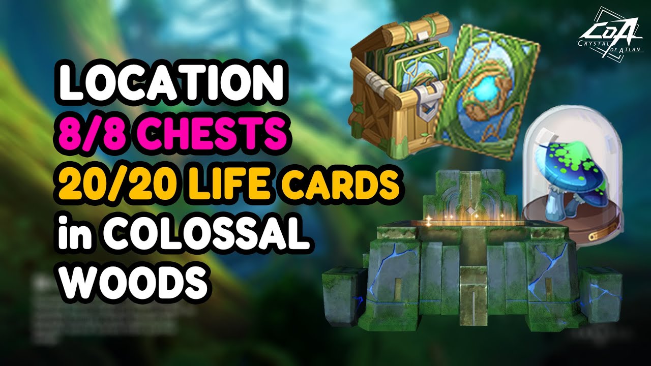 Chests & Life cards Loaction in Colossal Woods | จุดเก็บของต้นไม้ยักษ์บรรพกาล | Crystal of Atlan