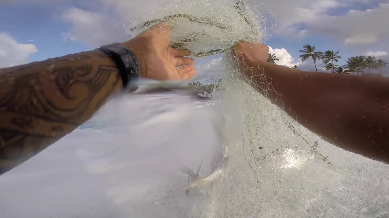 Throw net Hawaii (Ka ‘Upena) 2019