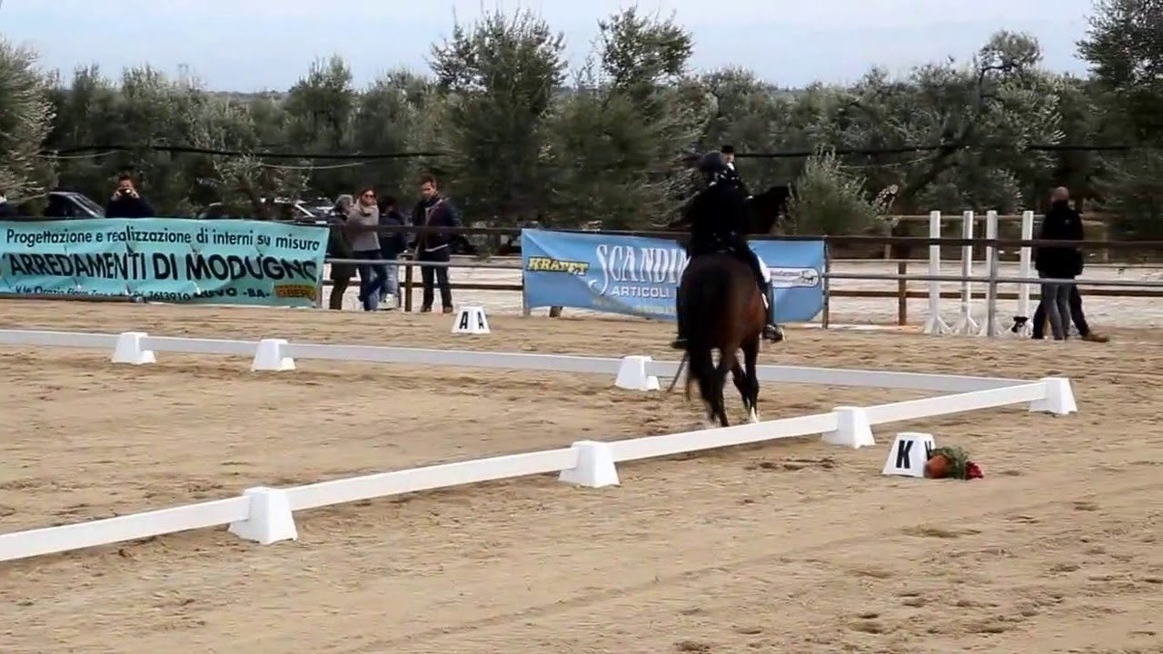 DANIELA COLANINNO e LORD DONNERHALL M200 69.853% Ruvo di Puglia trofeo inverno dressage puglia